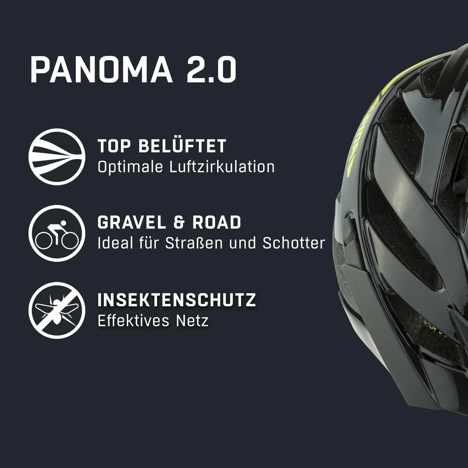 Alpina Panoma 2.0 L.E. casco bici con rete insetti