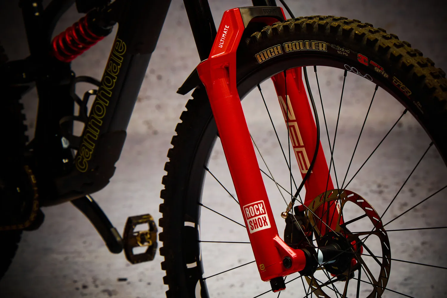 Dyedbro Fork Protector pellicola forcella MTB lucida