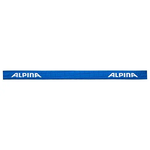 Alpina Scarabeo S DH occhiali da sci Hicon arancioni