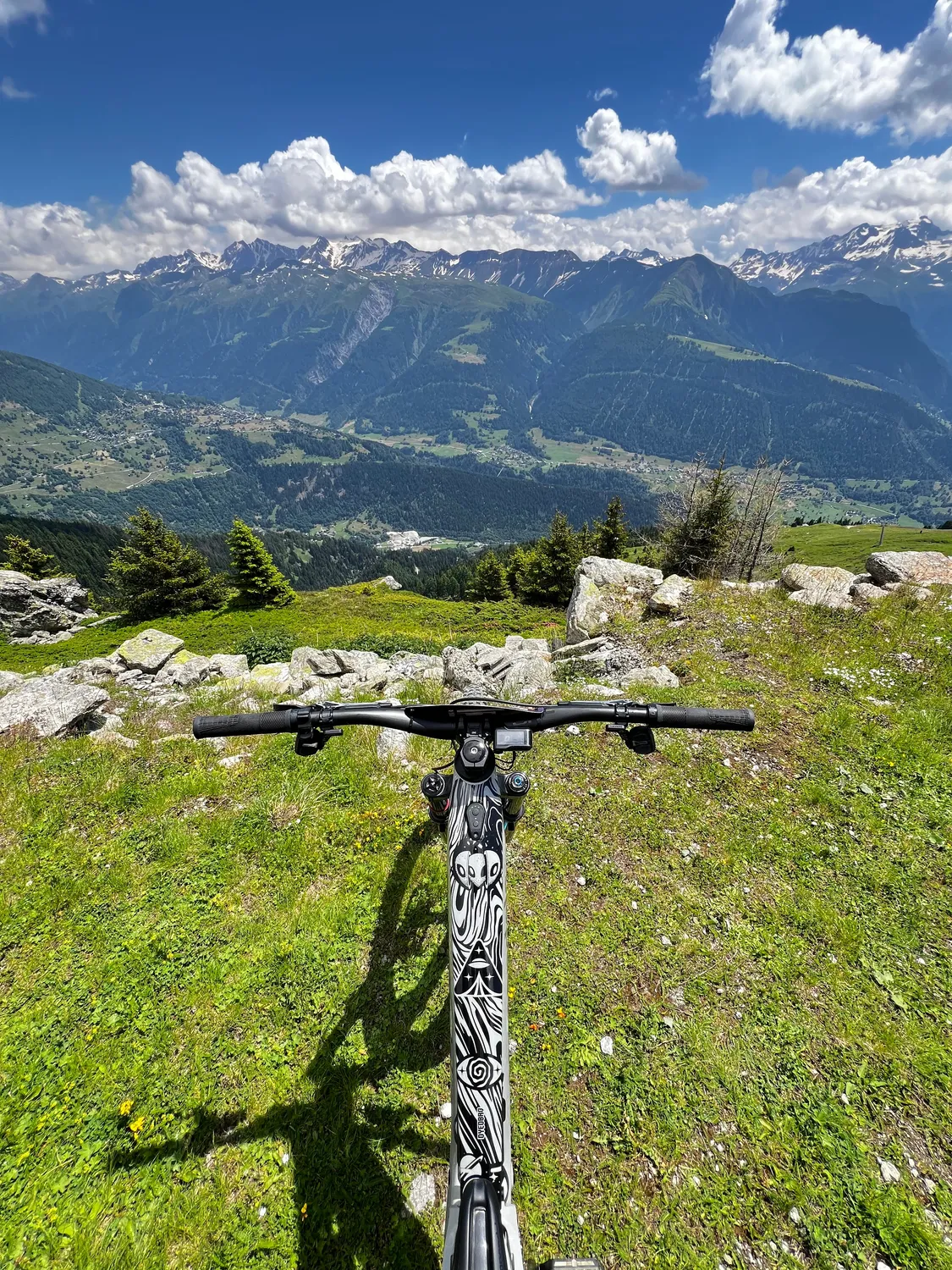 Dyedbro Kaos protezione telaio MTB nera lucida