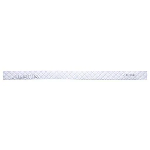 Alpina Panoma Mag Q maschera sci magnetica doppia lente contrasto