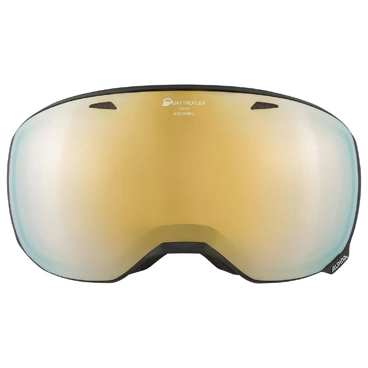 Alpina Big Horn Q-Lite maschera sci visi ampi