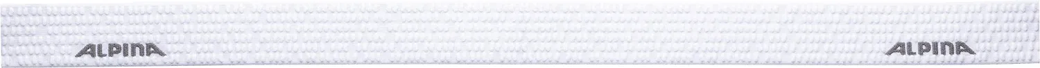 Alpina Sport Scarabeo QH maschera sci bambino arancione