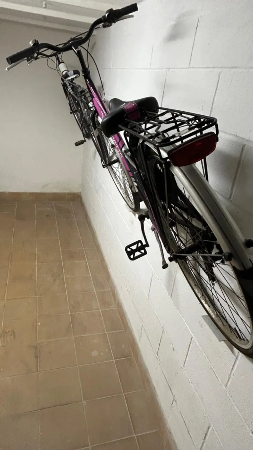 Borgen gancio parete bici a pedale salvaspazio 30 kg