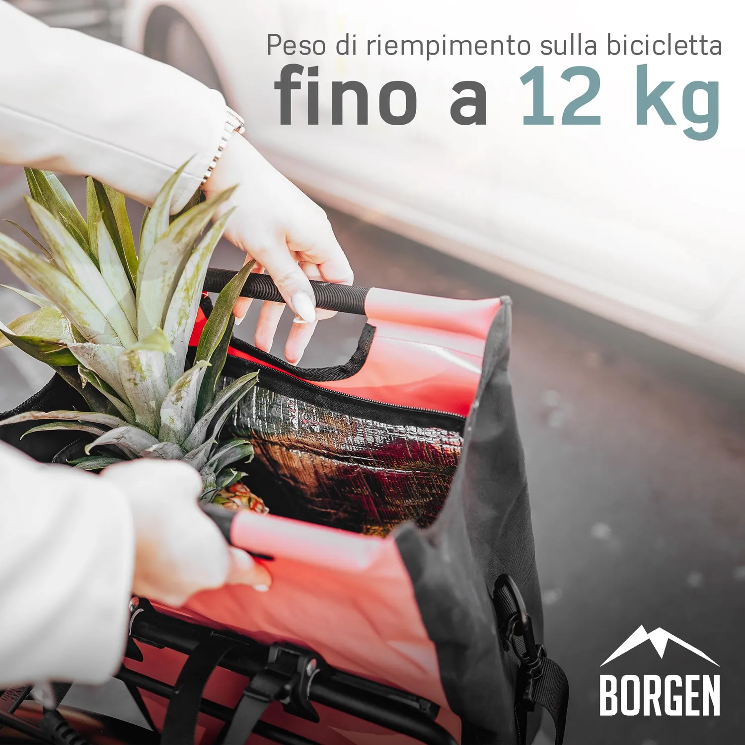 Borgen borsa frigo bici portapacchi rossa 23 L