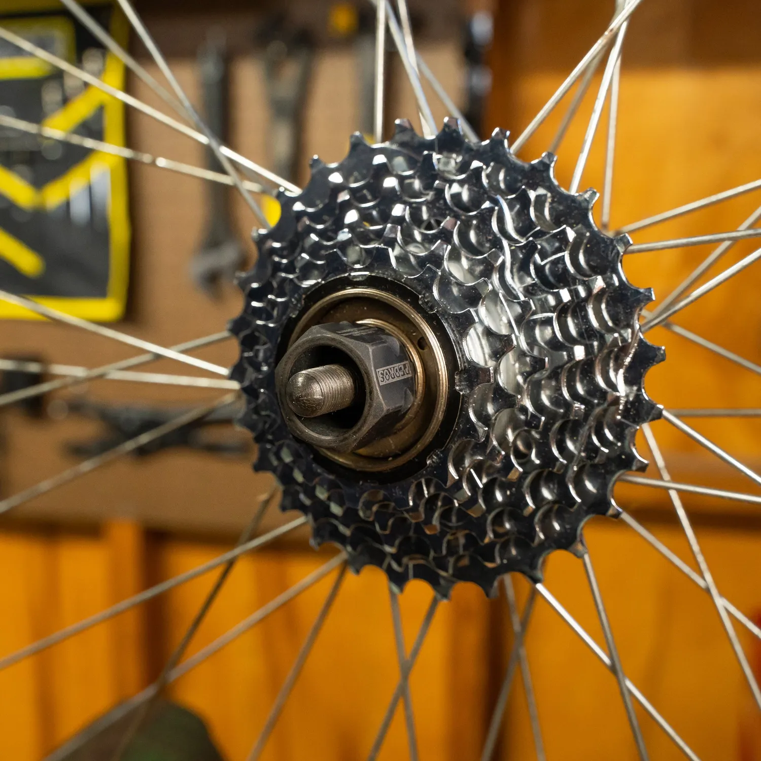 Pedro's Freewheel Multi-Speed bussola 12 scanalature 23 mm