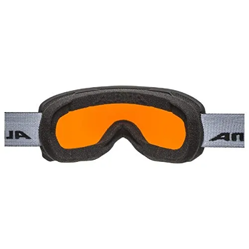 Alpina Scarabeo HM maschera sci adulto specchiata