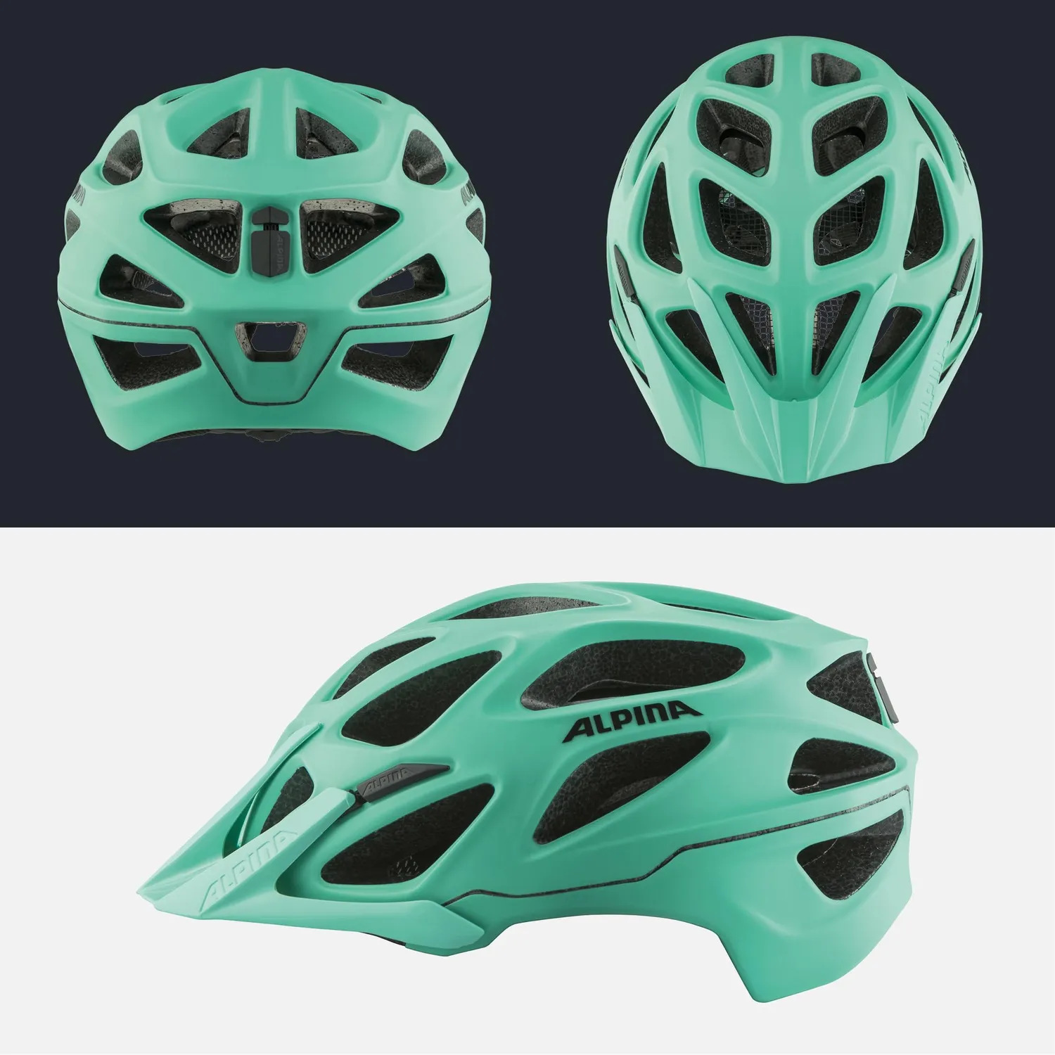 Alpina Mythos 3.0 LE casco bici dark silver matt