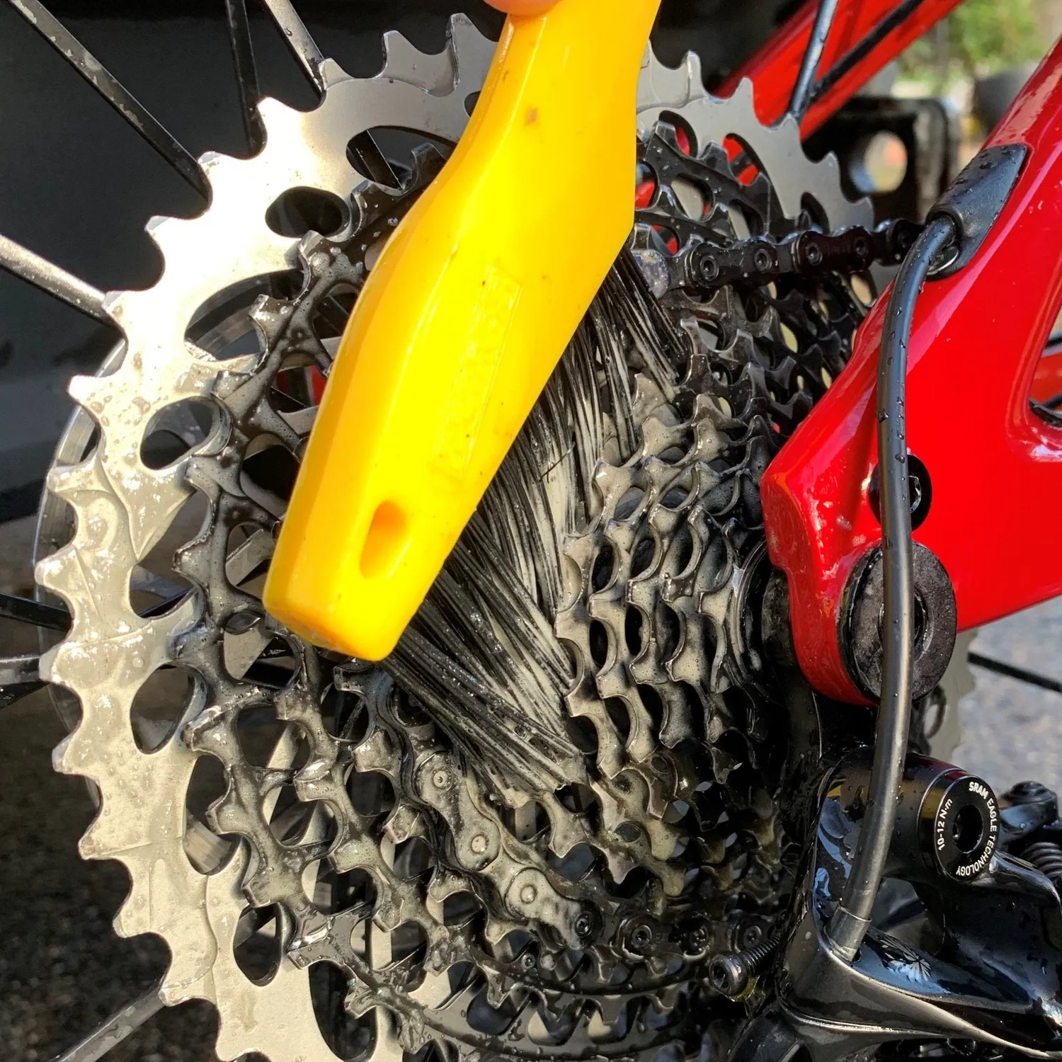 Pedro's Pro Brush Kit spazzole pulizia bici 4 pezzi