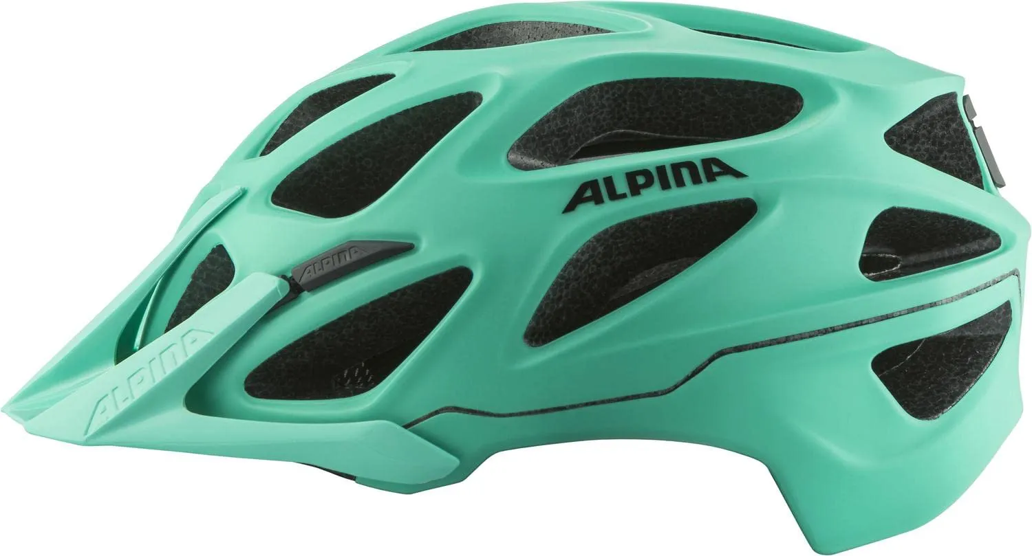 Alpina Mythos 3.0 LE casco bici dark silver matt