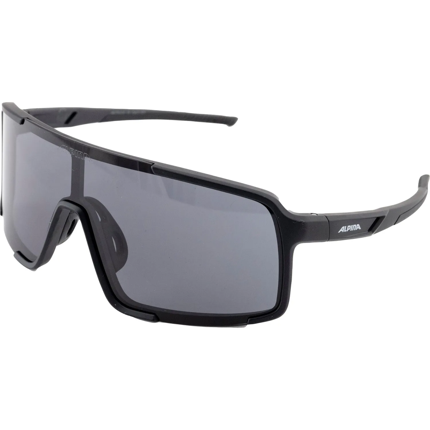 Alpina Vasba occhiali sport black matt blue multifunzione