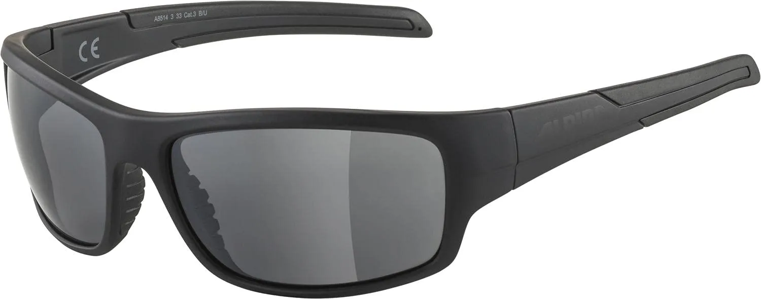 Alpina Testido occhiali anthracite specchiati