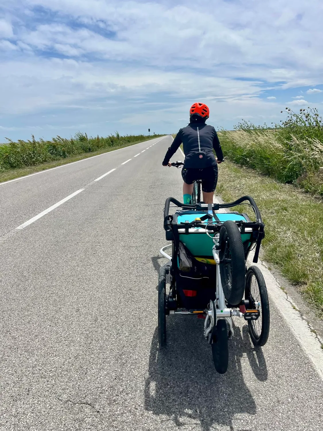 Borgen supporto bici Thule Chariot nero 14 pollici