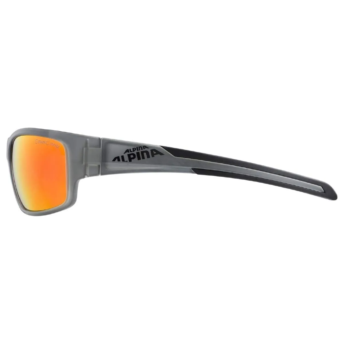Alpina Testido occhiali anthracite specchiati