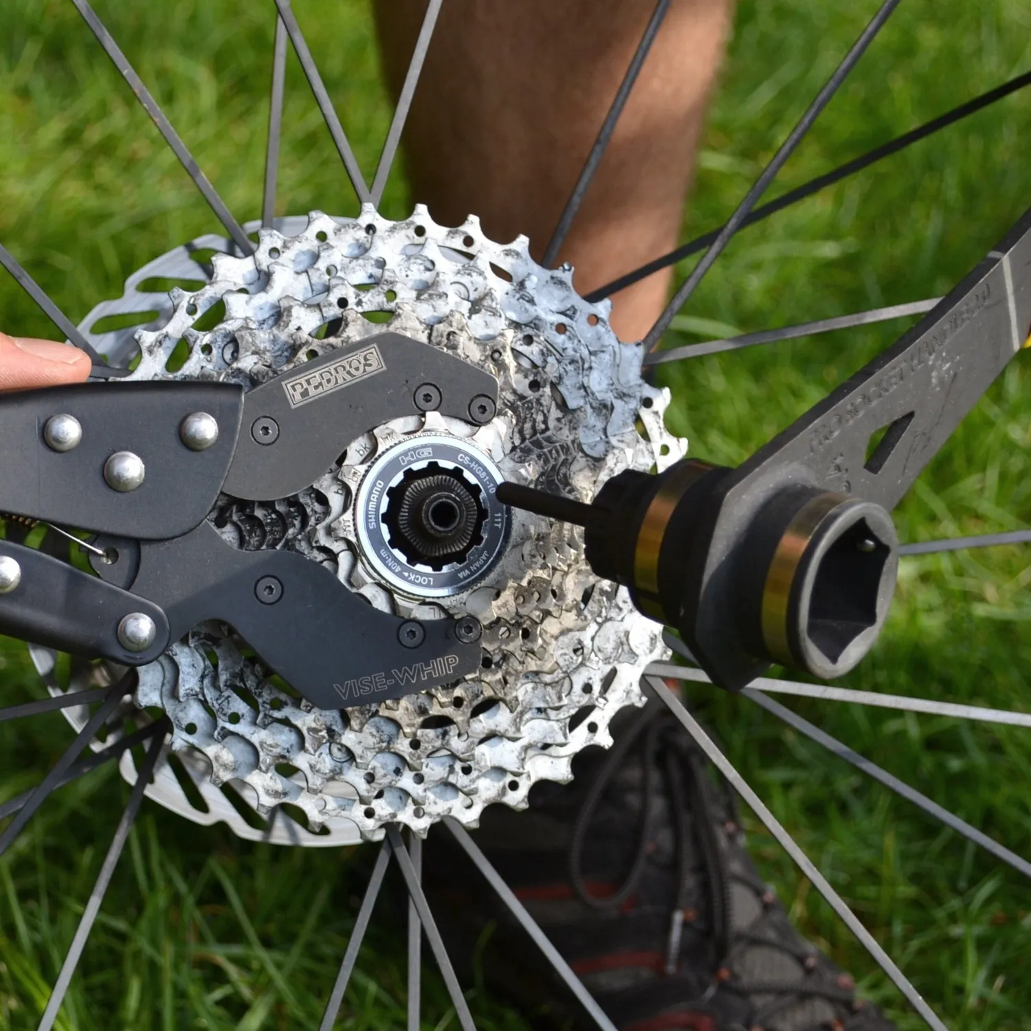Pedro's bussola cassetta HG con pin lockring