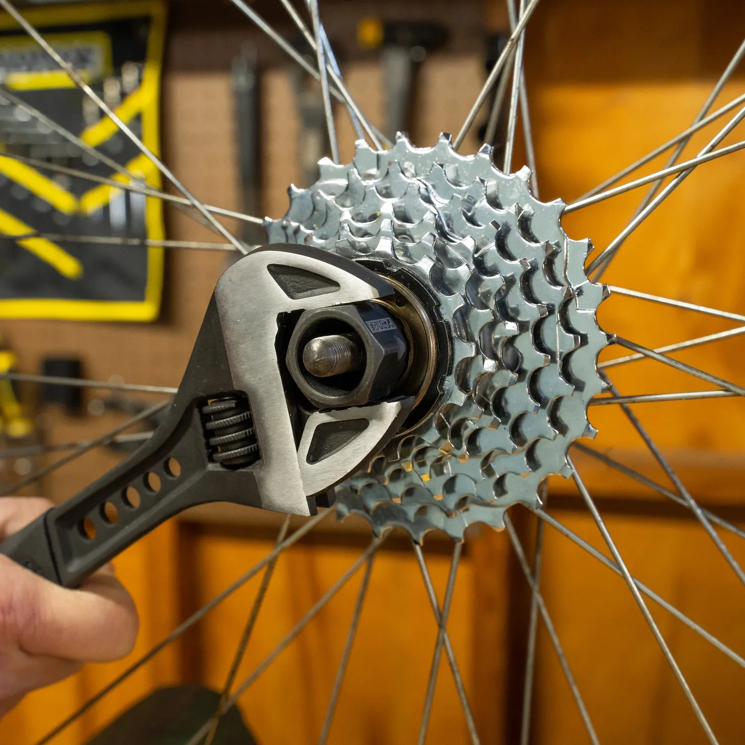 Pedro's Freewheel Multi-Speed bussola 12 scanalature 23 mm