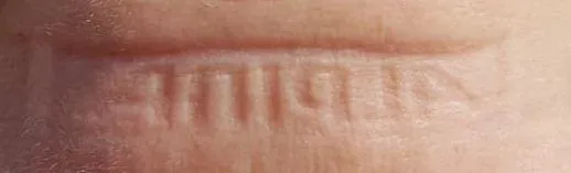 Alpina Estetica QVM occhiali sci adulto fotocromatici
