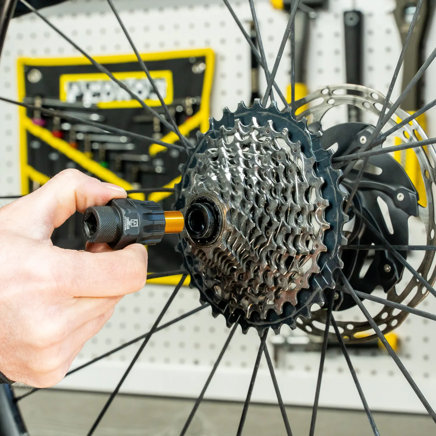 Pedro's Pro Cassette Lockring Bussola con Pin 12 Scanalature