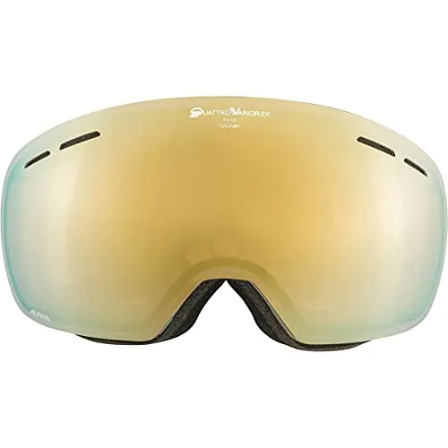 Alpina Granby QV maschera sci fotocromatica moongrey