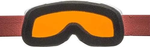 Alpina Scarabeo S DH occhiali da sci bambino Hicon arancio