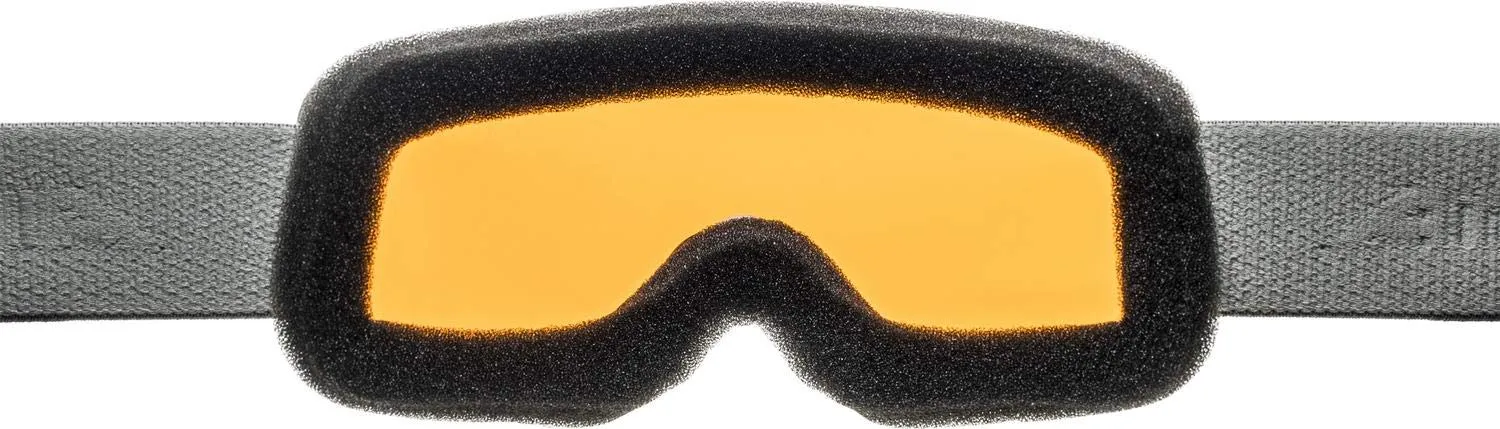Alpina Scarabeo S maschera da sci Hicon