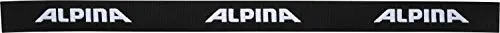 Alpina Scarabeo MM maschera sci viso largo OTG