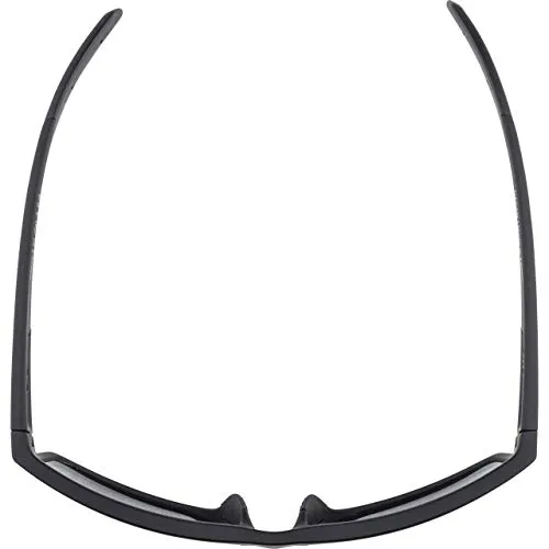 Alpina Nacan I occhiali da sole Anthracite Matt-Black specchiati
