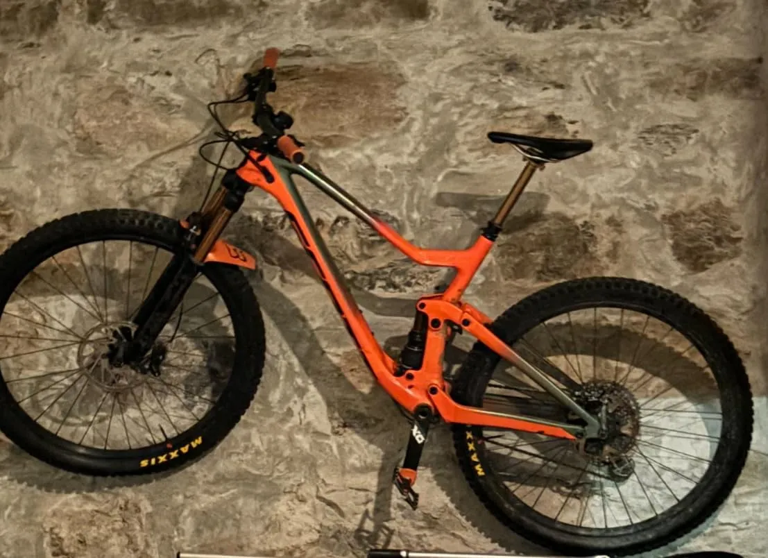 Borgen gancio parete bici a pedale salvaspazio 30 kg
