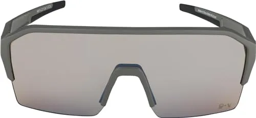 Alpina Ram HR Q-Lite V occhiali moon-grey fotocromatici