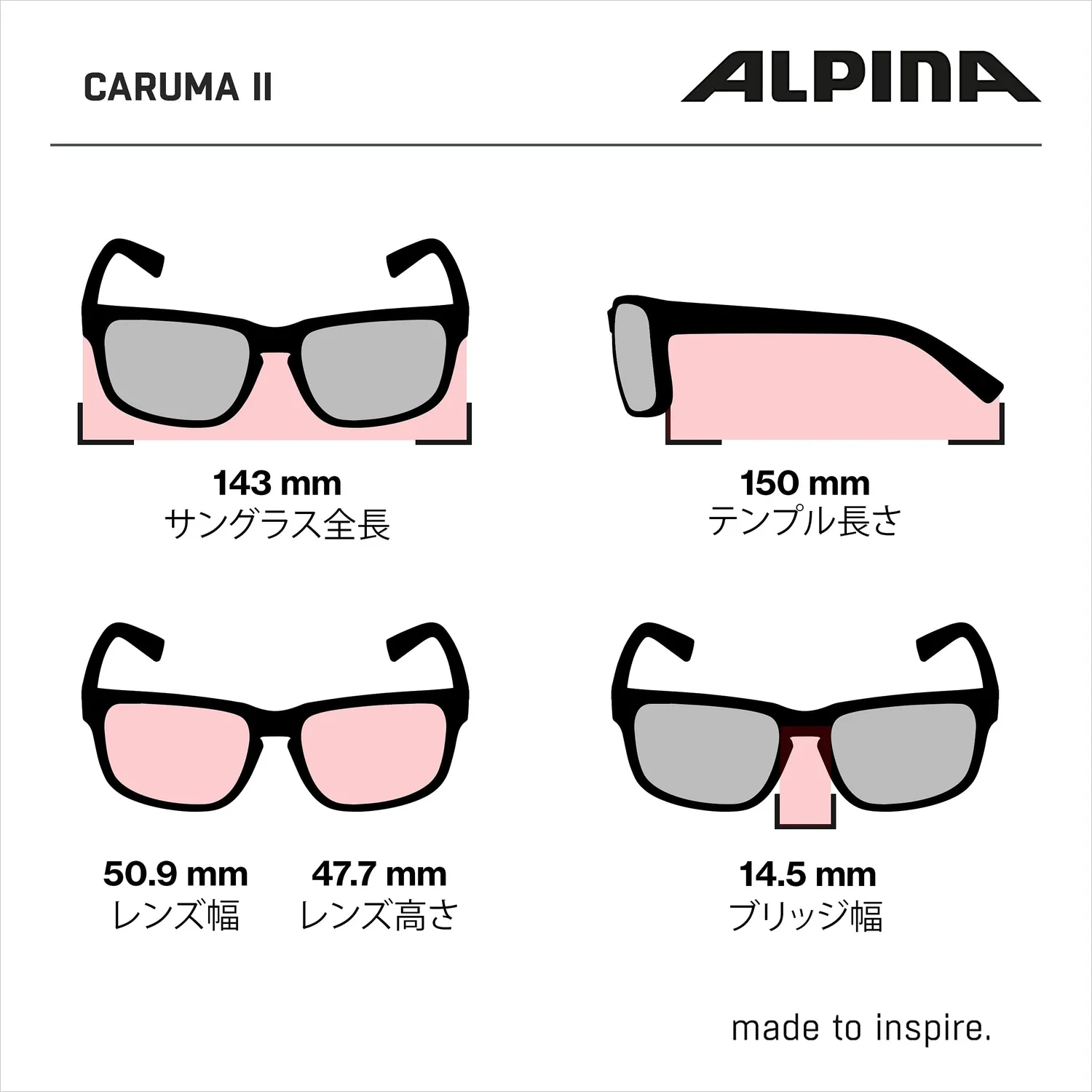 Alpina Caruma II occhiali da sole unisex metallo