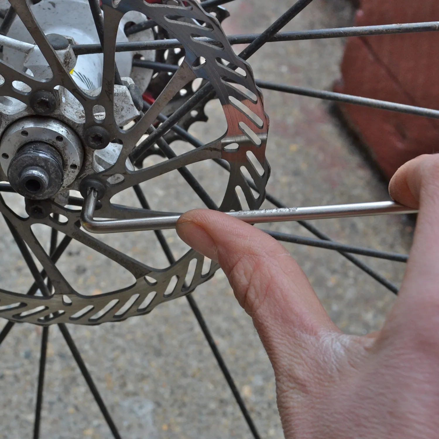 Pedro's L chiave torx T25 per bici