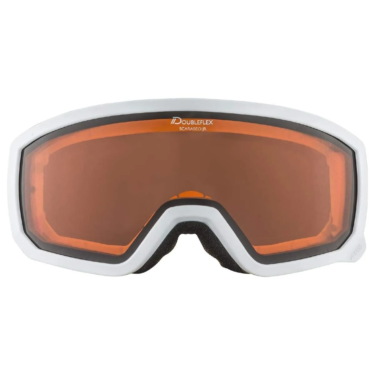 Alpina Scarabeo Jr DH maschera sci junior Hicon