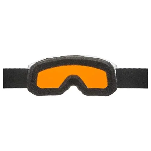 Alpina Scarabeo Jr DH maschera sci junior Hicon