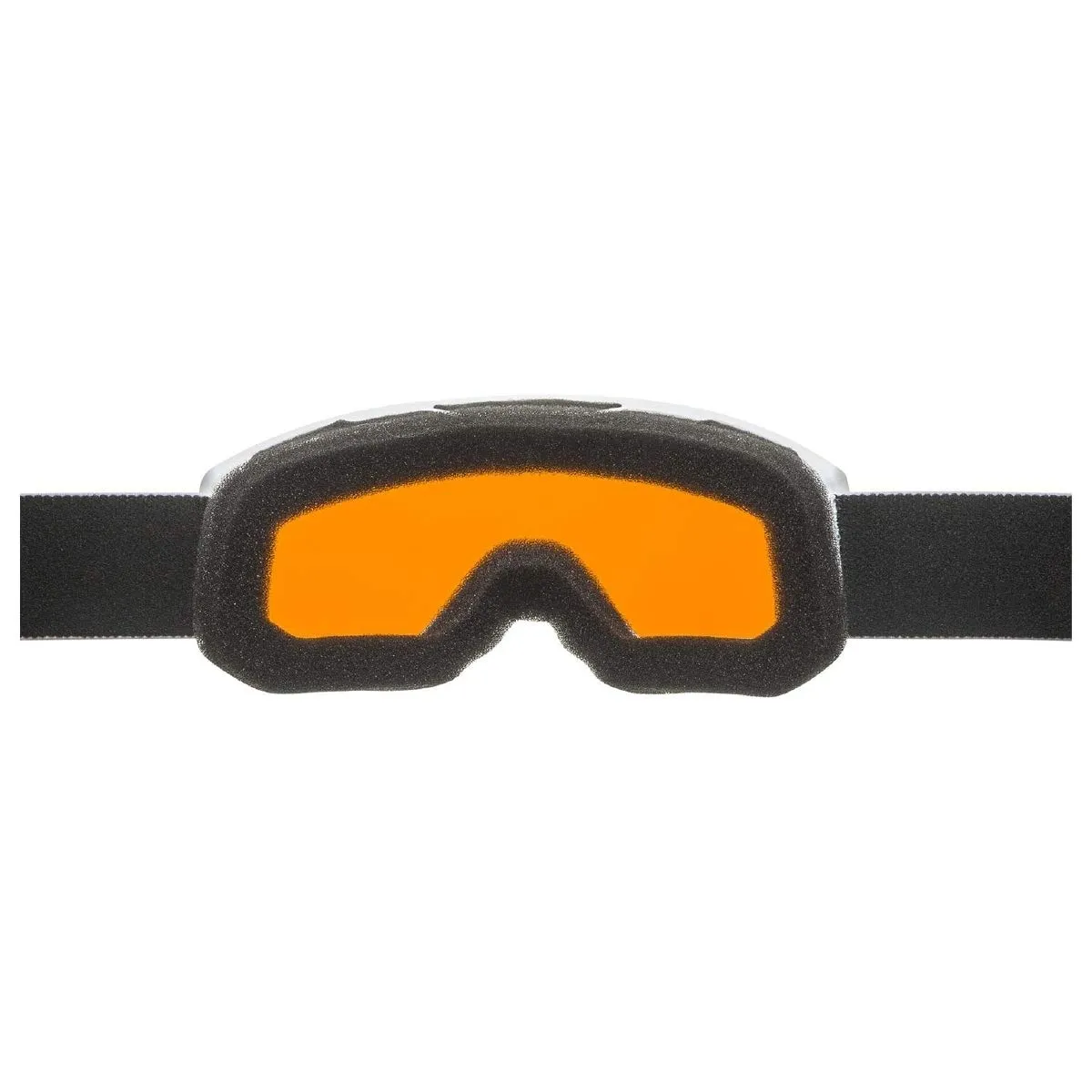 Alpina Scarabeo Jr DH maschera sci junior Hicon