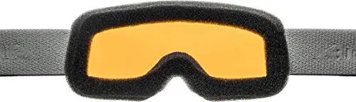 Alpina Scarabeo S maschera da sci Hicon