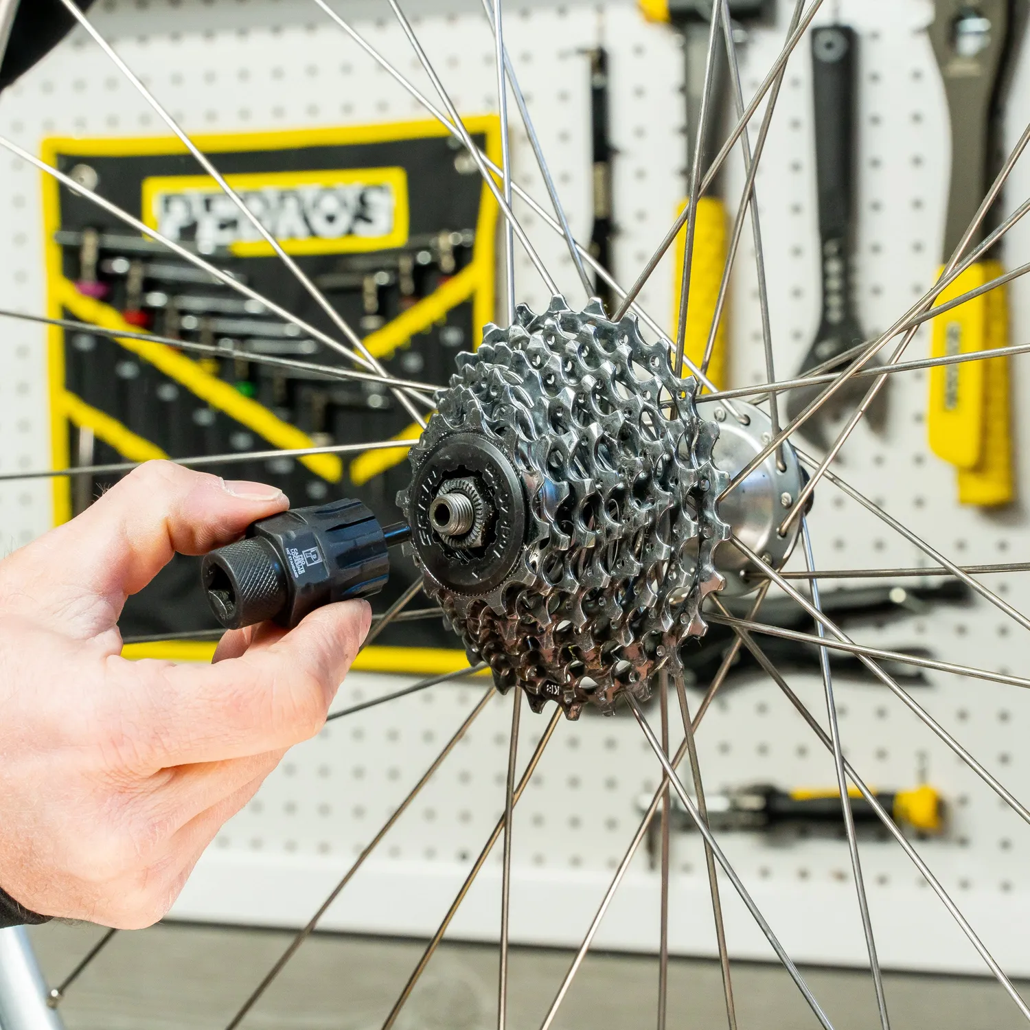Pedro's Pro Cassette Lockring Bussola con Pin 12 Scanalature